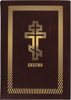 Библия в кожаном переплете с золотым обрезом (Омега-Л)