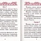 Акафист Пресвятой Богородице в честь иконы Ее "Всех скорбящих Радость" и "Взыскание погибших"