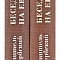 Беседы на Евангелие в 2-х книгах