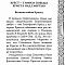 Мы несем крест, а крест несет нас